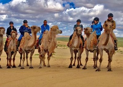 meharee mongolie