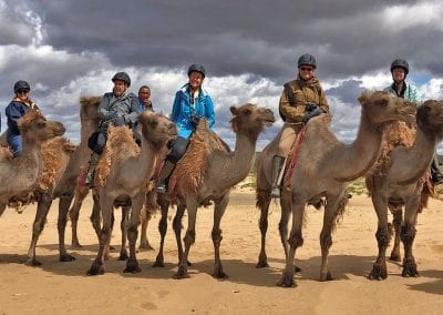 mongolie gobi chameaux