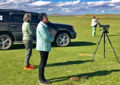 ornithologie en mongolie