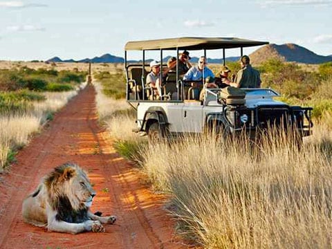 Grand tour d’Afrique du sud <span>du 4 au 19 déc. 2020</>