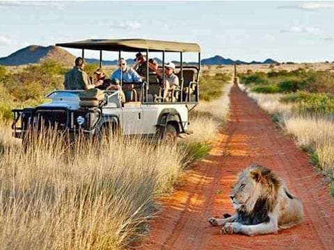 Nouvel An à Zanzibar & Serengeti <span>du 31 déc. au 10 janv. 2021</span>