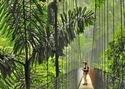 Découverte du Costa Rica du 28 mars au 12 avril 2021