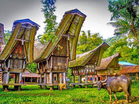 Bali & le pays Toraja – Célèbes du sud <span>du 25 déc. au 8 jan. 2024</span>