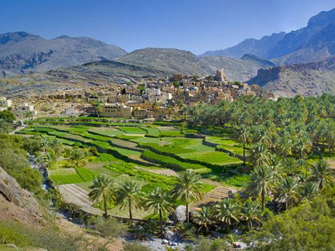 Découverte du Sultanat d’Oman <span>du 2 au 13 déc. 2023</span>