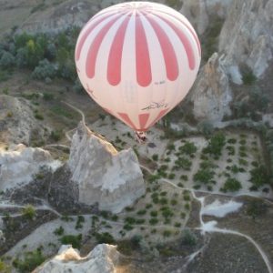 Profile picture of Voyageuse