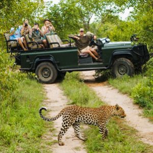 Group logo of Safaris